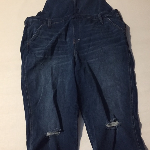 Madewell Plus Size Overalls - Picture 5 of 5